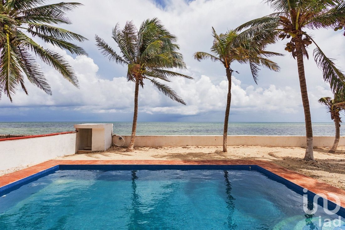 Casa in Puerto Morelos, Quintana Roo, Messico 4 - 15804067