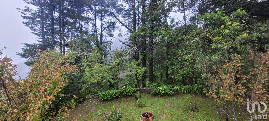 Land in Mineral del Chico, Hidalgo, Mexico 1 - 15802610