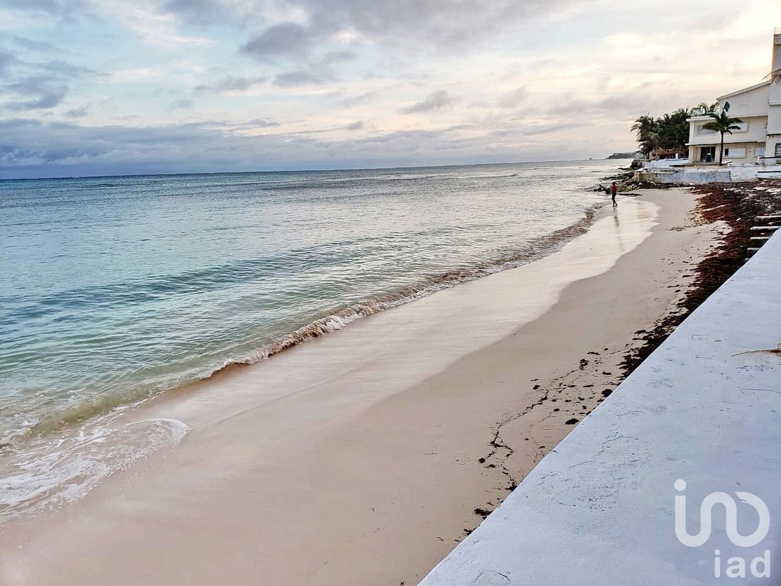 Terreno en Puerto Morelos, Quintana Roo, México 5 - 15804648