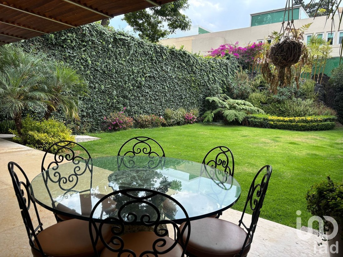 House in Mexico City, Mexico 2 - 15804286