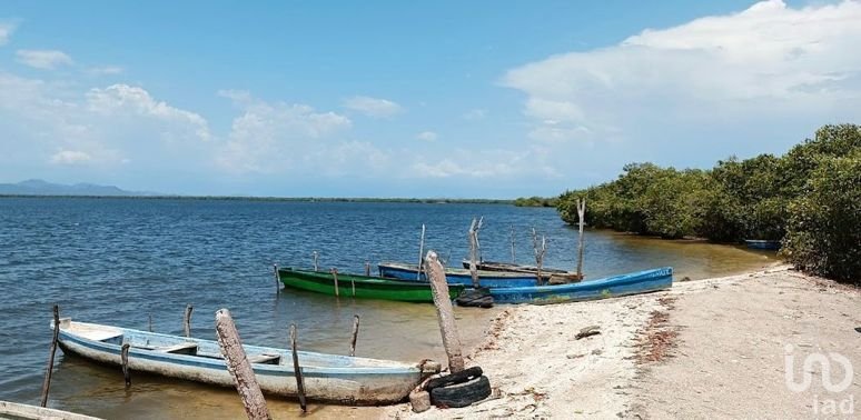 Land in San Cayetano, Nayarit, Mexico 2 - 15804591