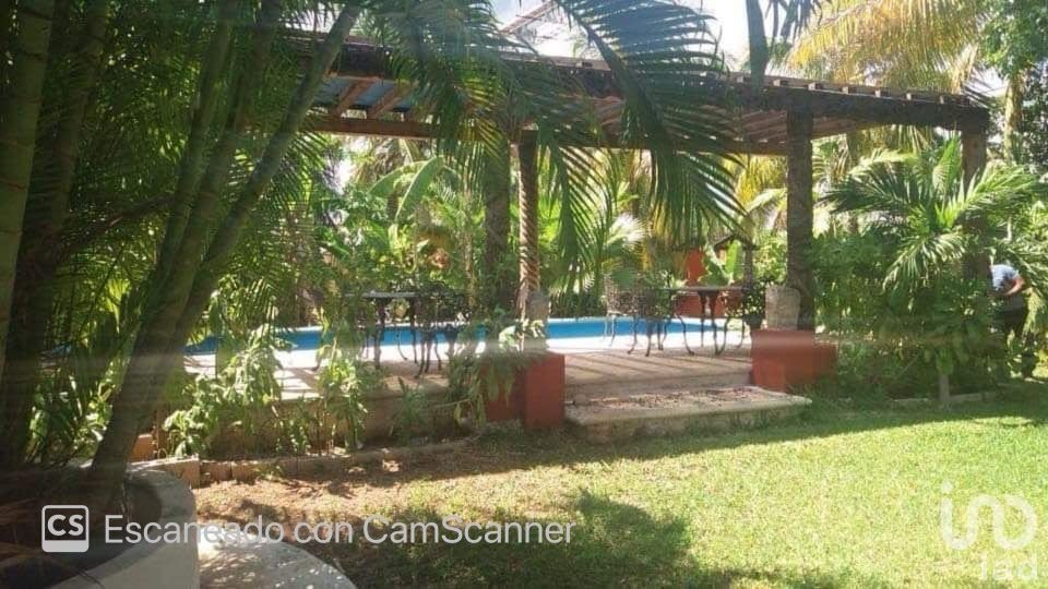House in Tamanche, Yucatan, Mexico 2 - 15804515