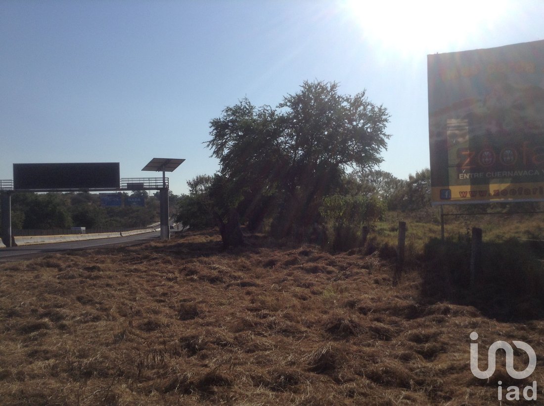 Land in Alpuyeca, Morelos, Mexico 5 - 15804689