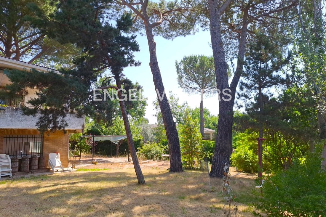 House in Las Rozas de Madrid, Comunidad de Madrid, Spain 3 - 15793699