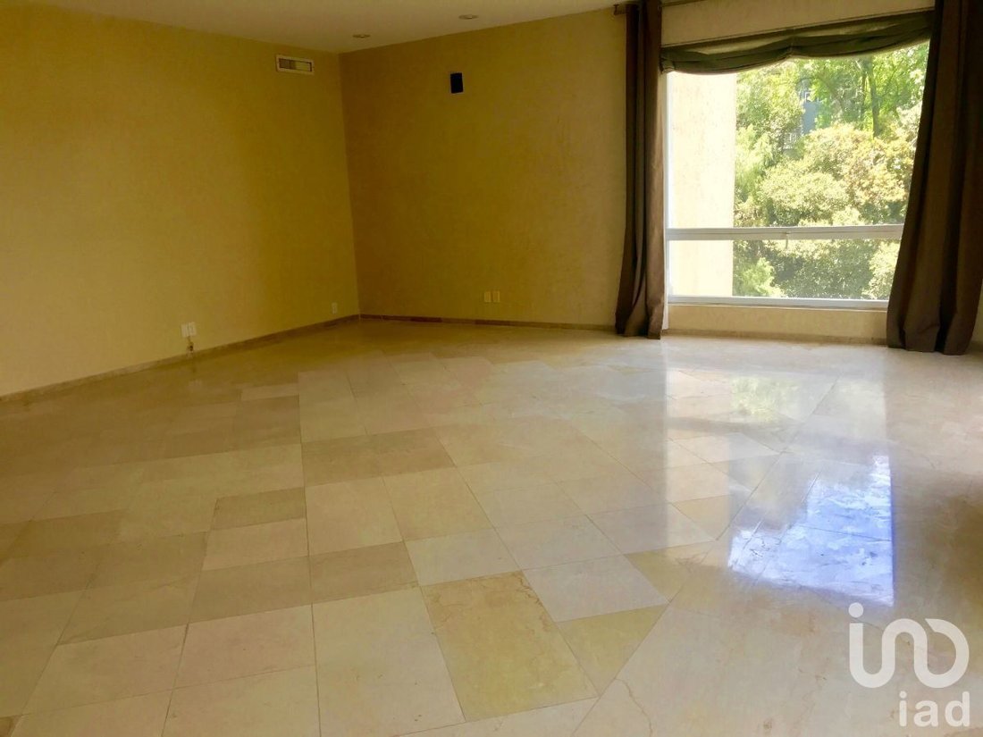 Apartment in Mexico City, Mexico 5 - 15802959