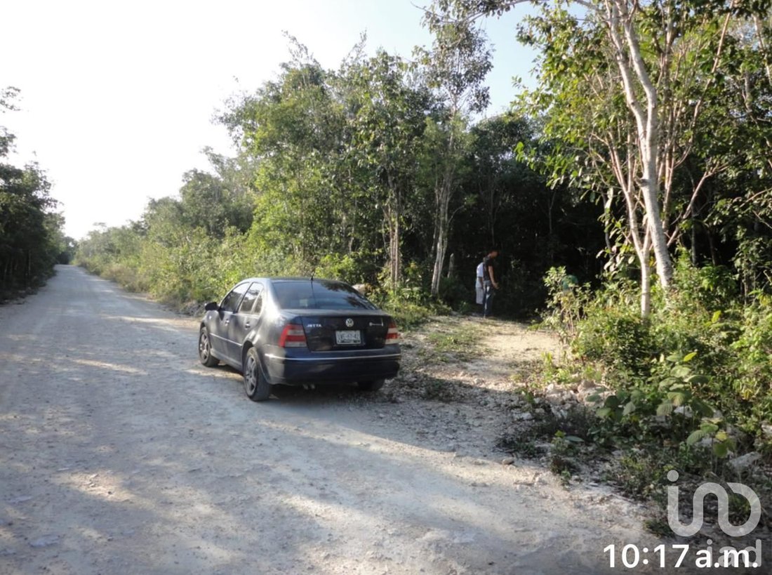 Land in Gran Bahía Príncipe, Quintana Roo, Mexico 1 - 15803932