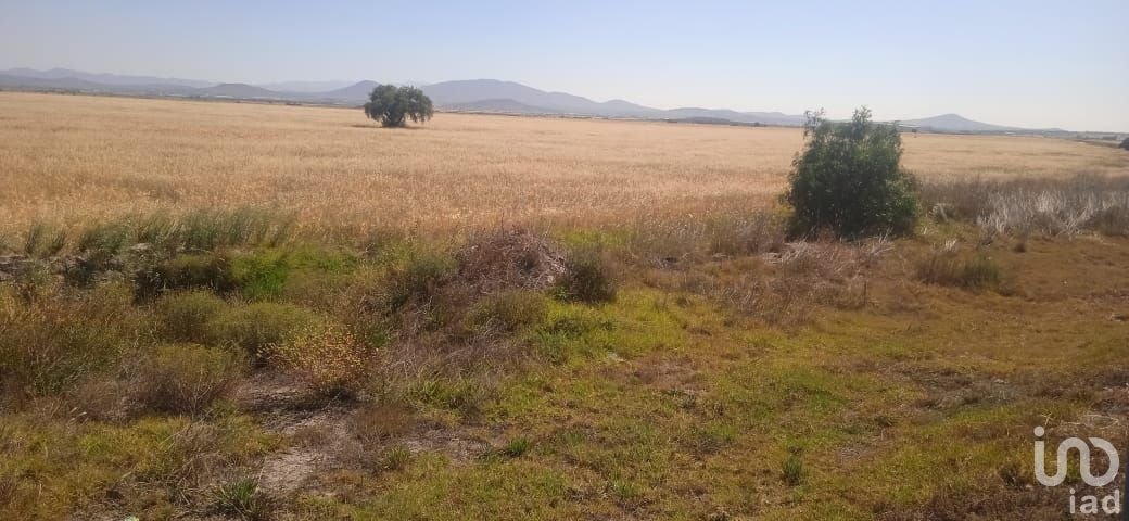 Land in Zapotlán de Juárez, Hidalgo, Mexiko 3 - 15803771