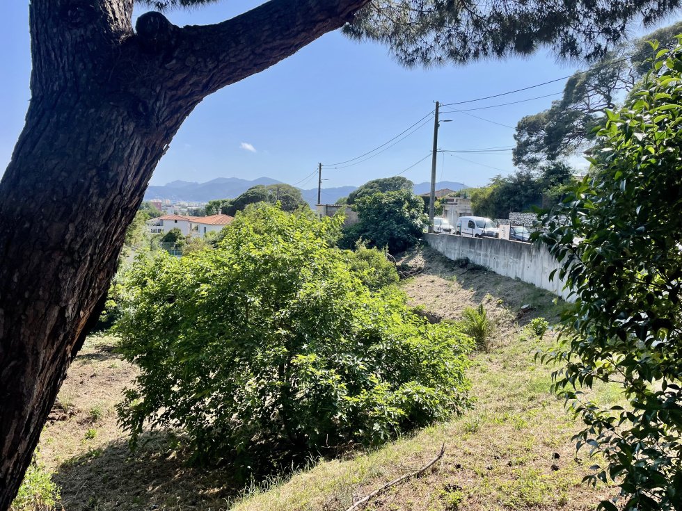 Land in Cannes, Provence-Alpes-Côte d'Azur, France 2 - 15805009