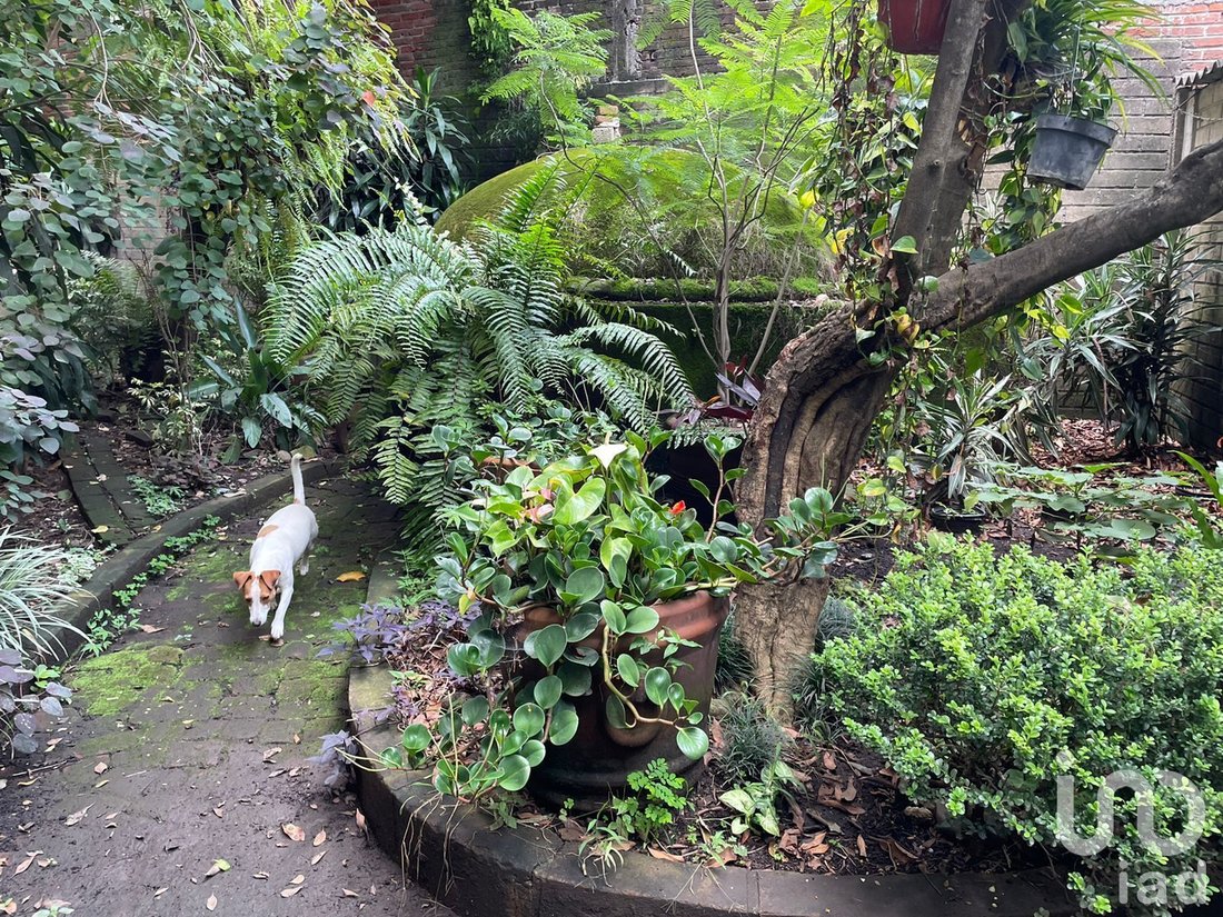 Terreno in Cuernavaca, Morelos, Messico 3 - 15804010