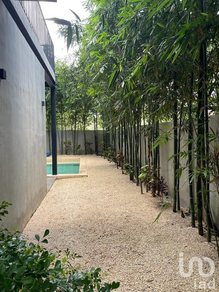 House in Mérida, Yucatan, Mexico 3 - 15804440