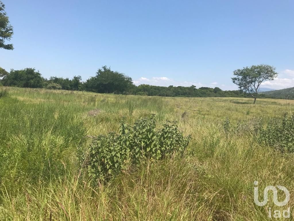 Land in Alpuyeca, Morelos, Mexico 4 - 15804689