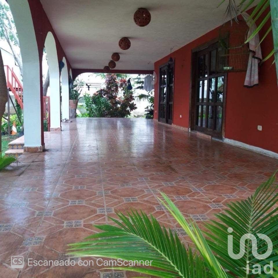House in Tamanche, Yucatan, Mexico 4 - 15804515