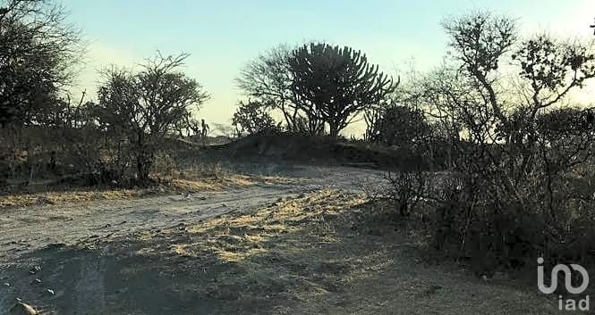 Land in Estancia de Canal, Guanajuato, Mexico 4 - 15804434