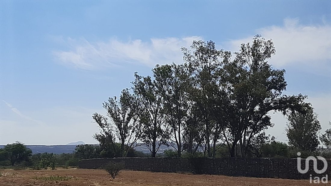 Land in Aldama, Guanajuato, Mexico 3 - 15804335