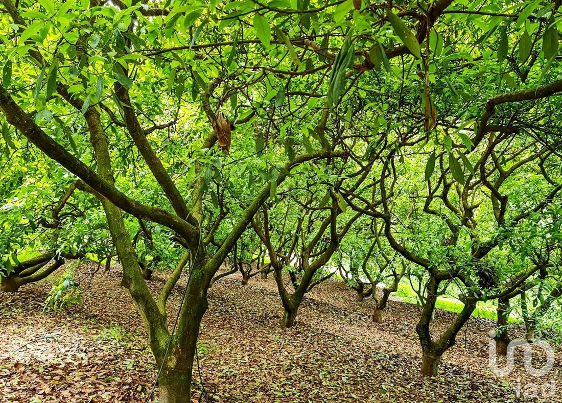 Farm Ranch in Cochisquila, State of Mexico, Mexico 5 - 15804502