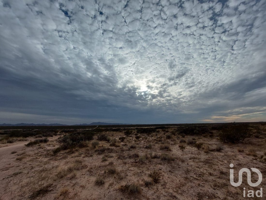 Land in Ciudad Juárez, Chihuahua, Mexiko 1 - 15803961