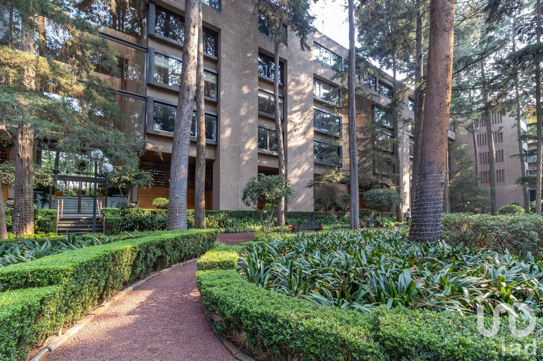 Apartment in Santa Catarina Yecahuitzotl, Mexico City, Mexico 2 - 15803489