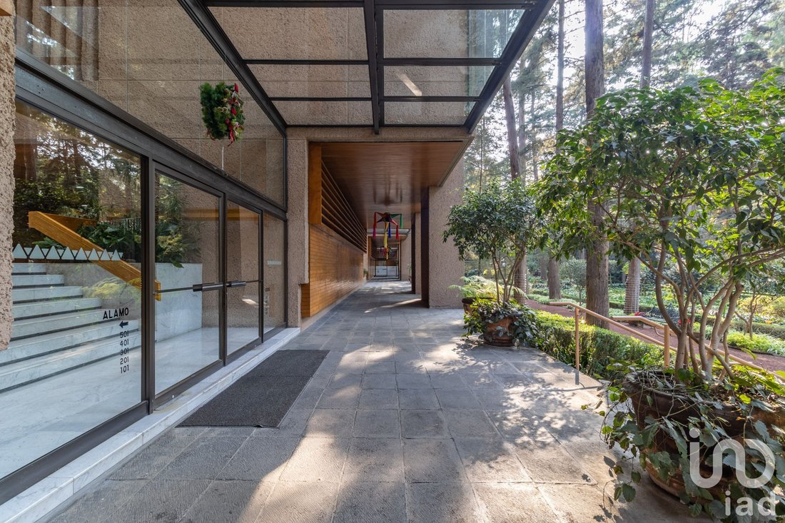 Apartment in Santa Catarina Yecahuitzotl, Mexico City, Mexico 3 - 15803489