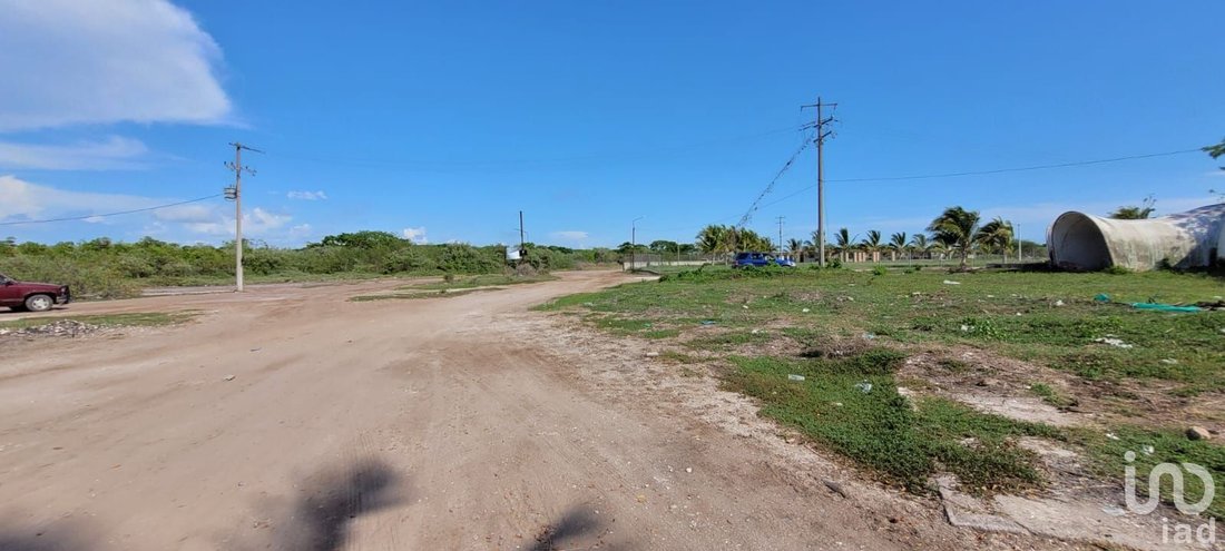 Land in San Cayetano, Nayarit, Mexico 5 - 15804591