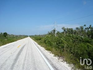 Land in Río Huache, Quintana Roo, Mexico 4 - 15803904