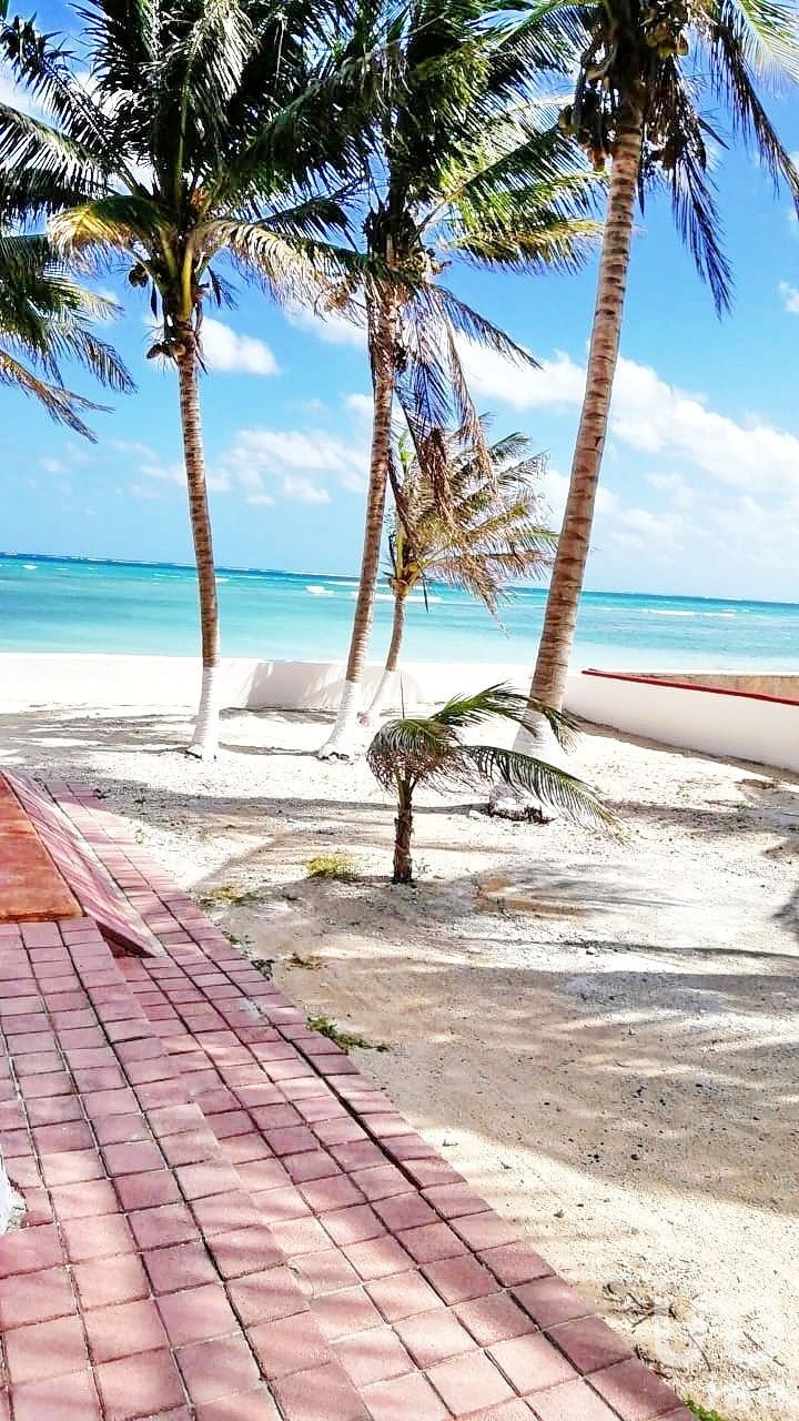 Terreno en Puerto Morelos, Quintana Roo, México 3 - 15804648