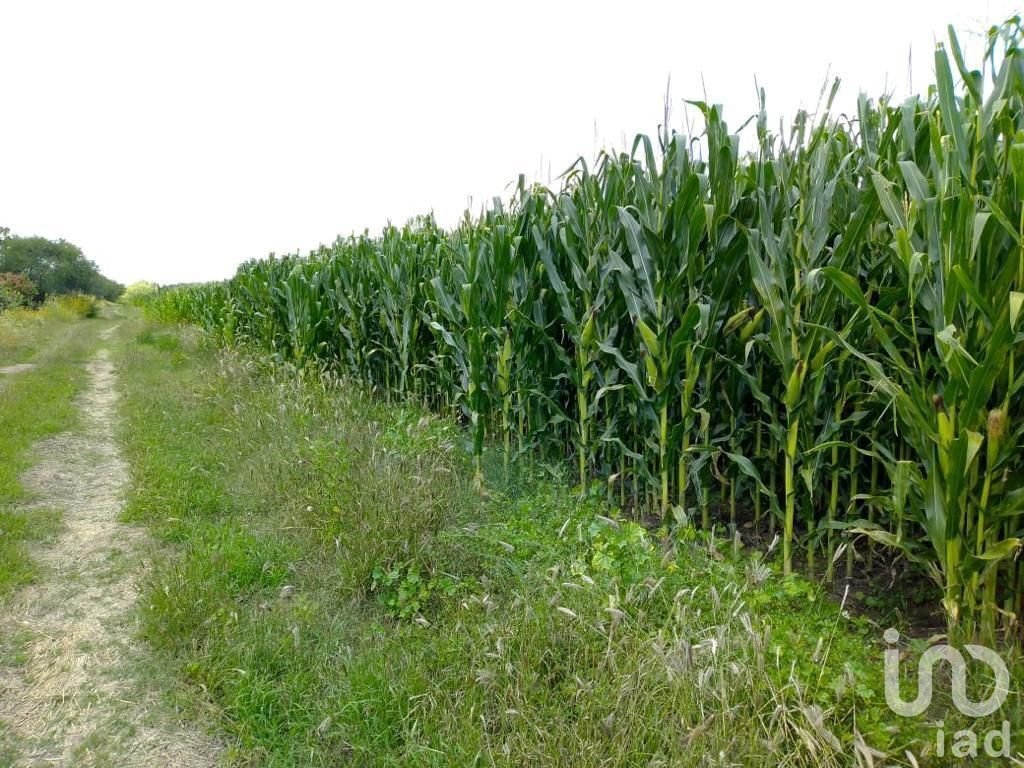 Farm Ranch in Aguascalientes, Aguascalientes, Mexico 1 - 15803711