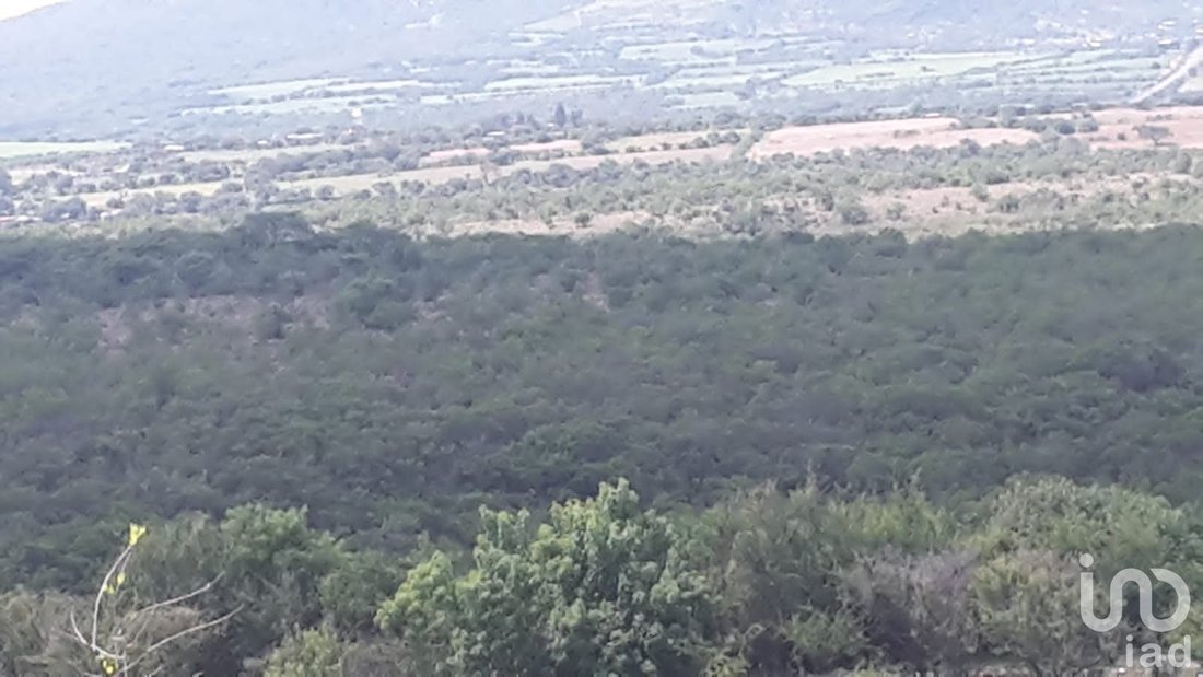 Farm Ranch in San Juan Temascatío, Guanajuato, Mexico 4 - 15803760