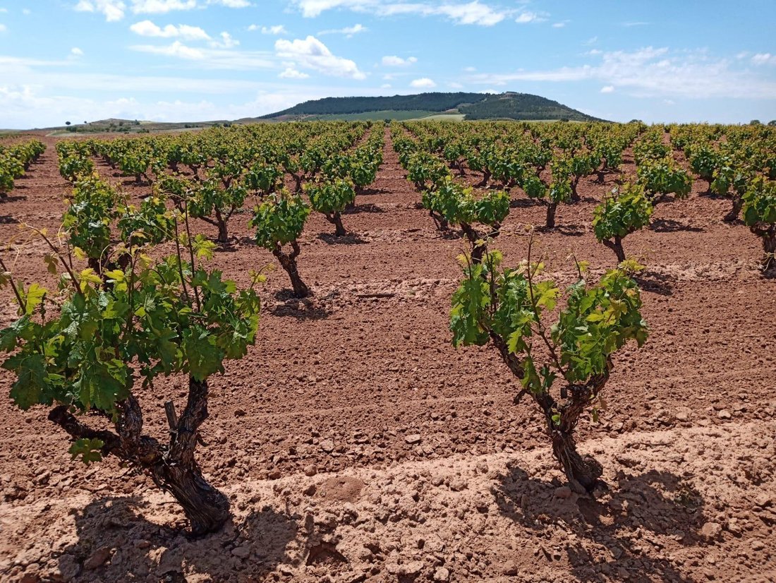 Land in Alange, Extremadura, Spain 5 - 15805277