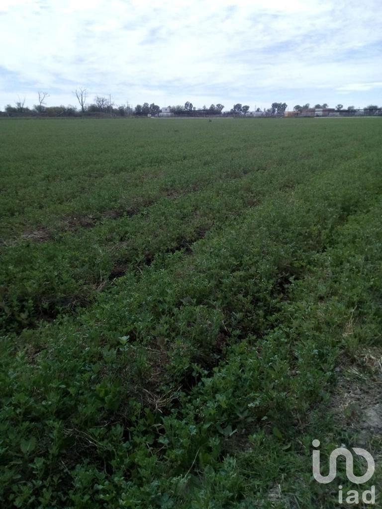Farm Ranch in Aguascalientes, Aguascalientes, Mexico 5 - 15803711
