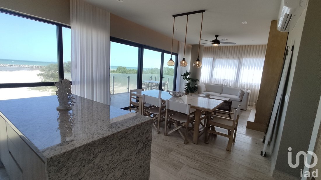House in Progreso, Yucatan, Mexico 4 - 15804895