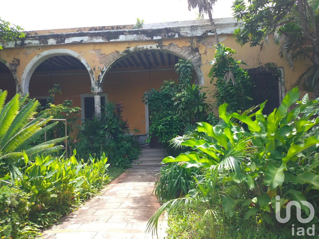 House in Mérida, Yucatan, Mexico 3 - 15802416