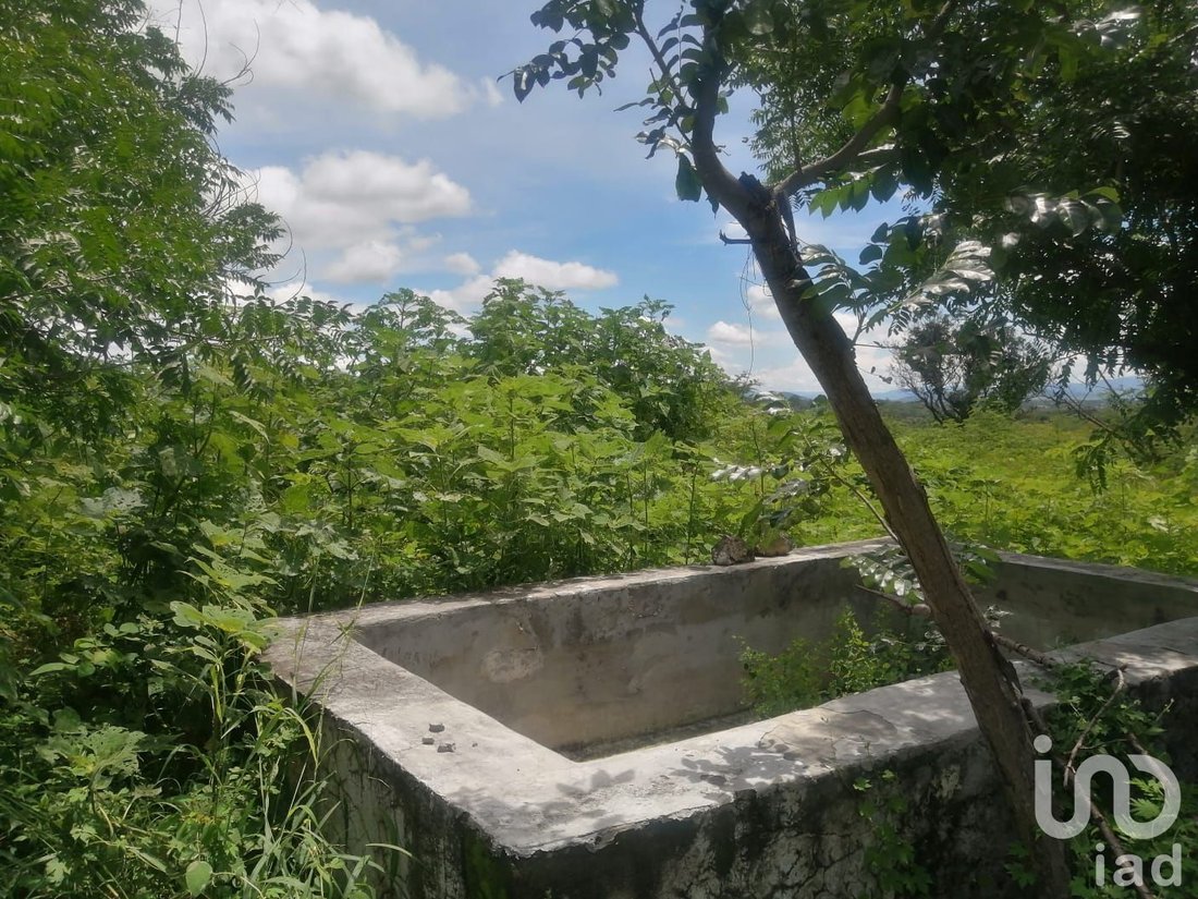 Land in Alpuyeca, Morelos, Mexico 4 - 15804709