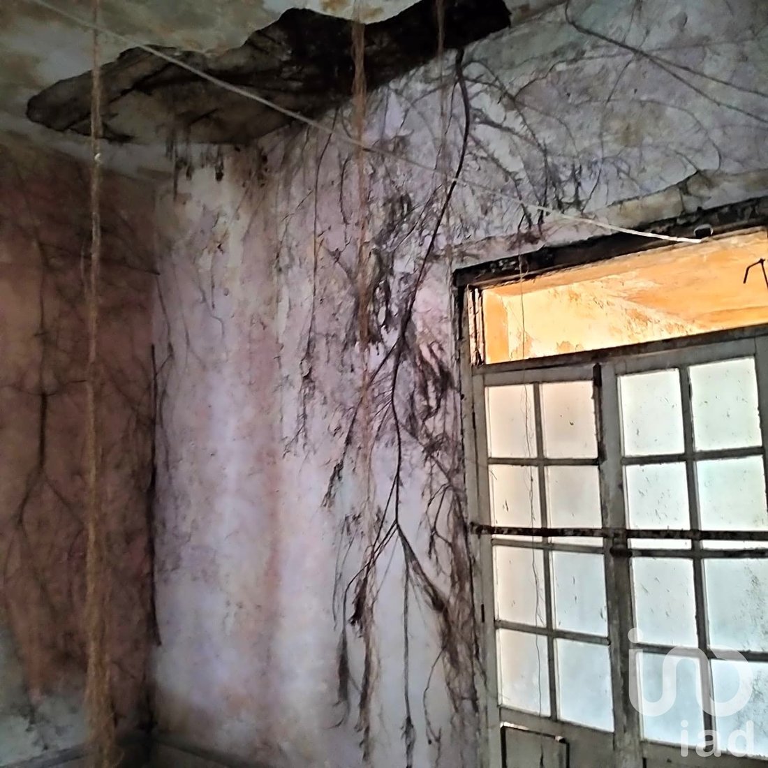 Casa en Mérida, Yucatán, México 2 - 15802943