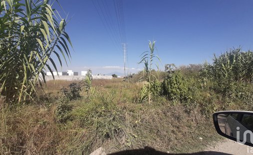 Land in San Isidro Petlácatl, Puebla, Mexico 1