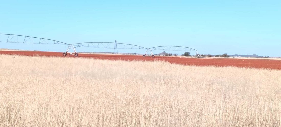 Farm Ranch in Petrusburg, Free State, South Africa 3 - 15802355