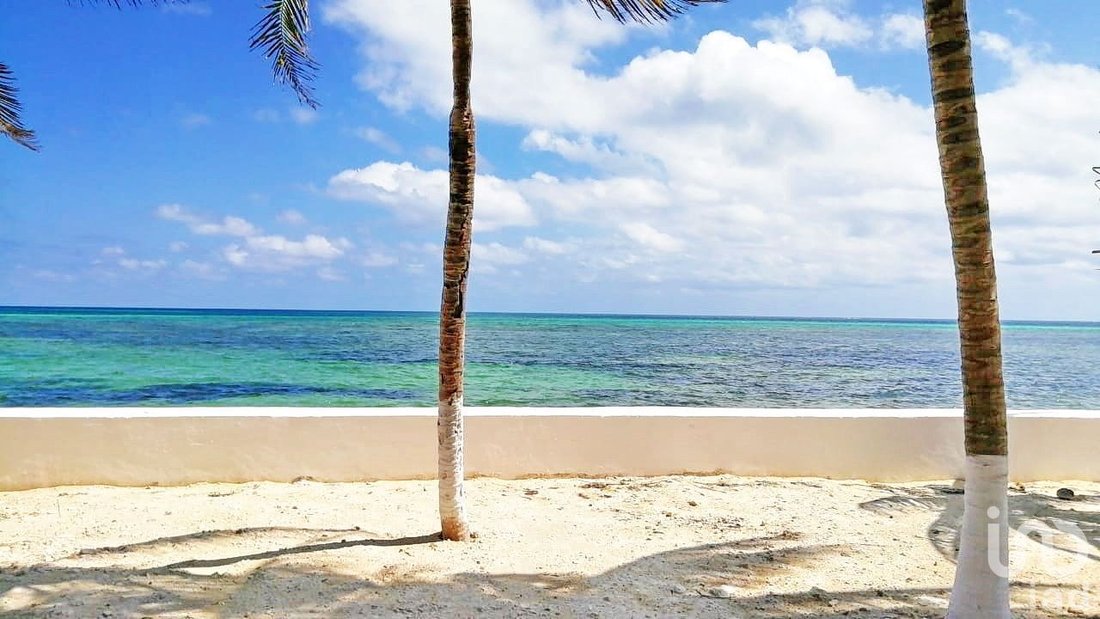 Terreno en Puerto Morelos, Quintana Roo, México 1 - 15804648
