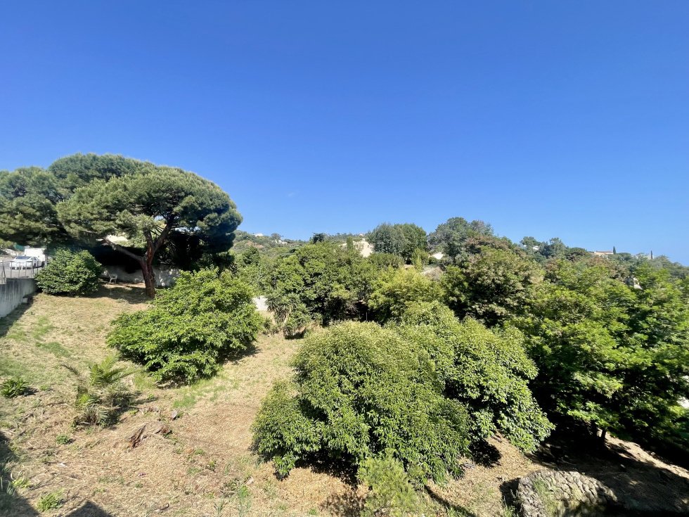 Land in Cannes, Provence-Alpes-Côte d'Azur, France 1 - 15805009