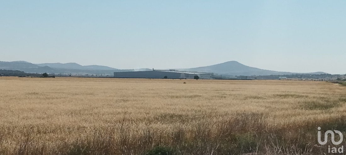 Land in Zapotlán de Juárez, Hidalgo, Mexiko 5 - 15803771