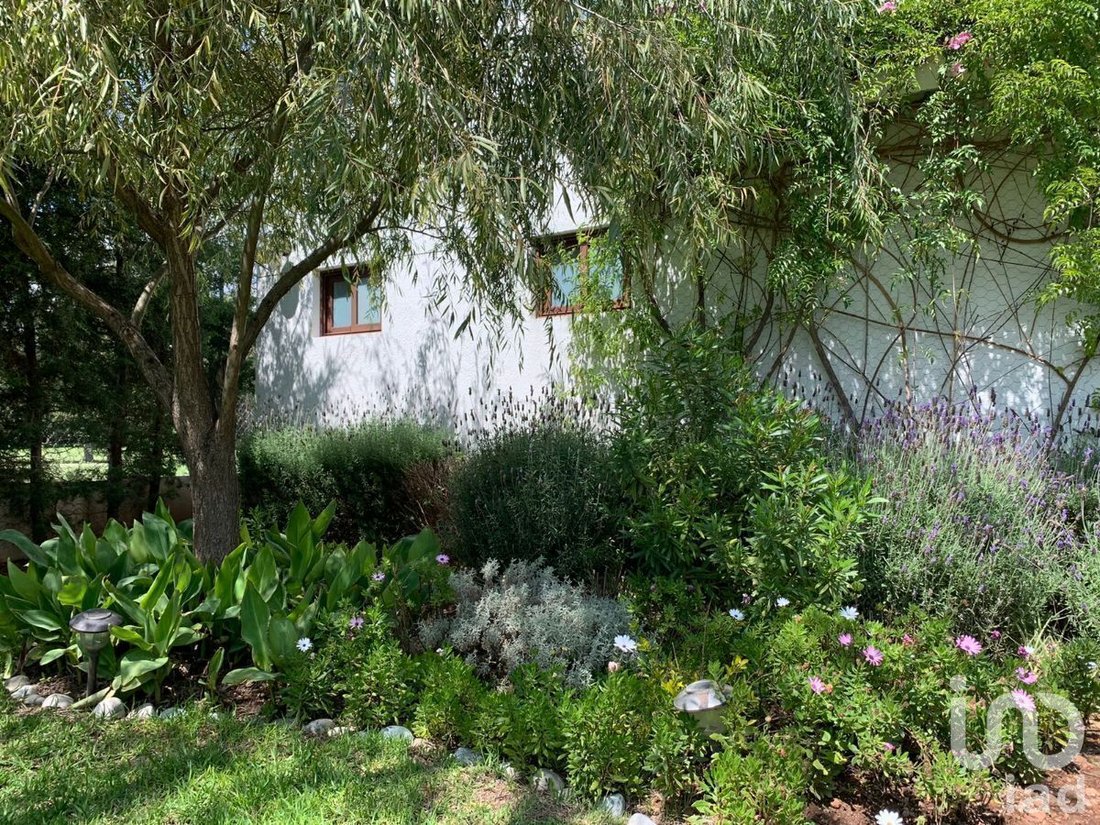 Casa in Pachuca, Hidalgo, Messico 5 - 15804762