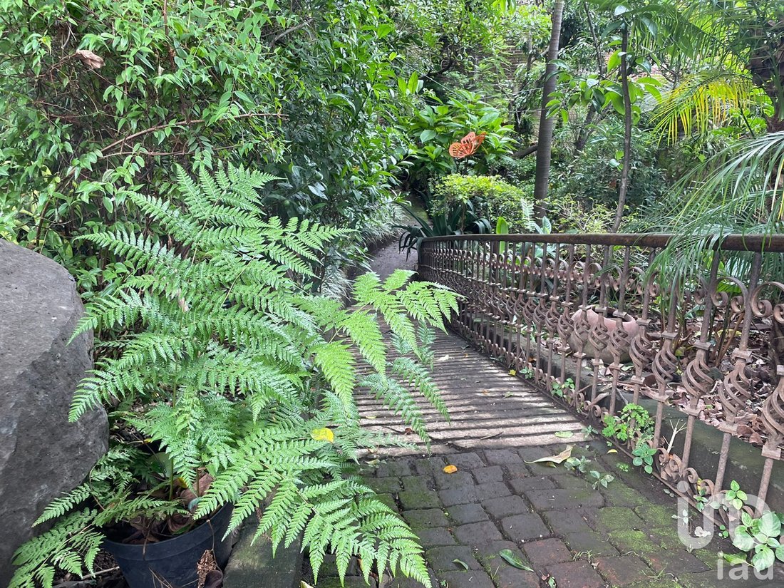Terreno in Cuernavaca, Morelos, Messico 2 - 15804010