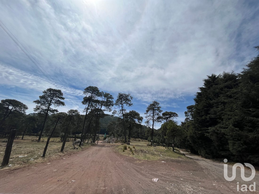 Farm Ranch in San Miguel Ajusco, Mexico City, Mexico 4 - 15803218