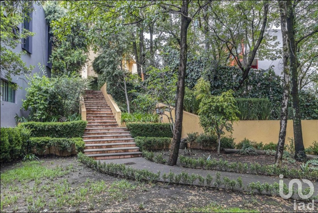 House in Santa Catarina Yecahuitzotl, Mexico City, Mexico 5 - 15803162