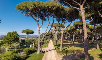 Villa in Castagneto Carducci, Toskana, Italien 2