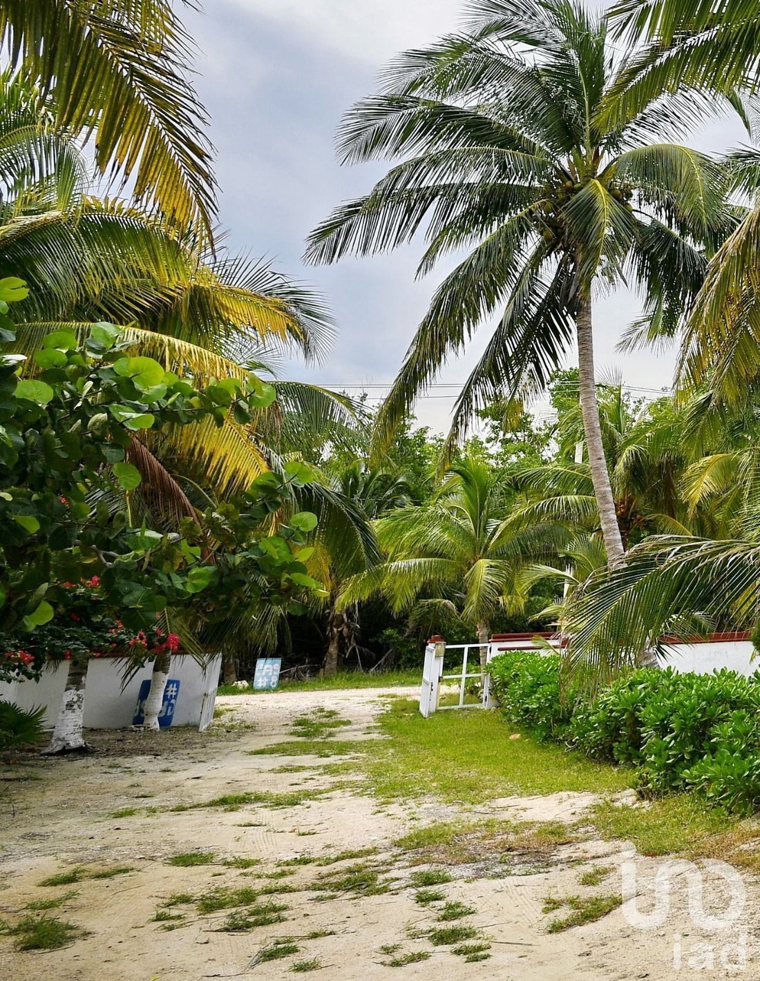 Terreno en Puerto Morelos, Quintana Roo, México 4 - 15804648
