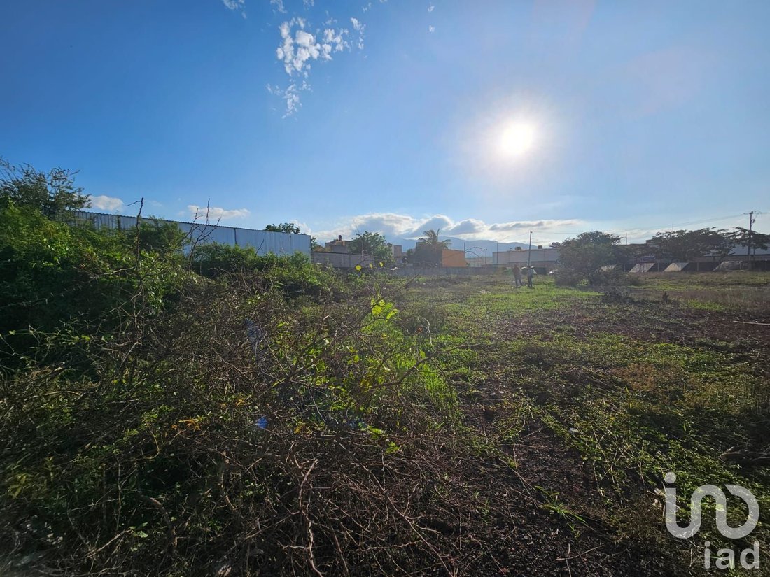 Terrain en Tepic, Nayarit, Mexique 3 - 15804893
