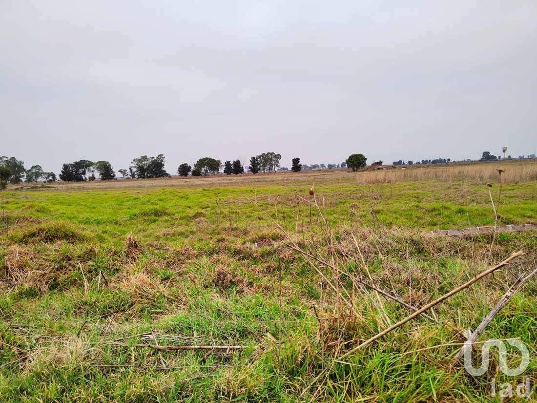 Land in Santa Cruz de Abajo, State of Mexico, Mexico 1 - 15804097