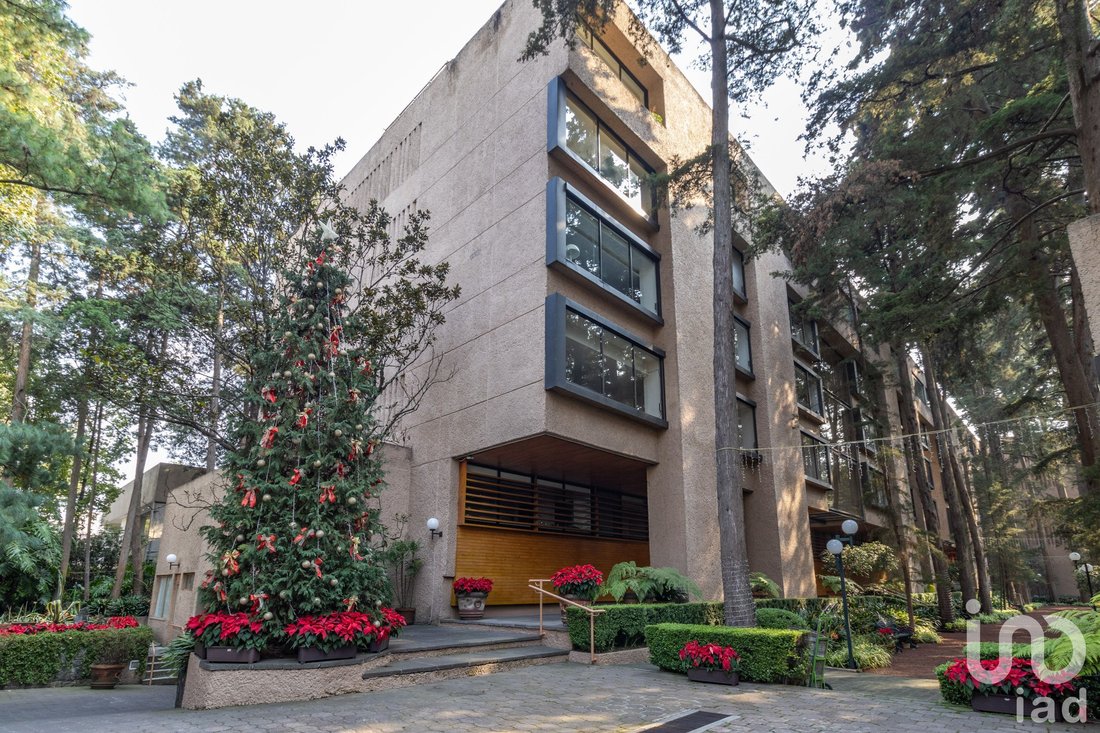Apartment in Santa Catarina Yecahuitzotl, Mexico City, Mexico 1 - 15803489