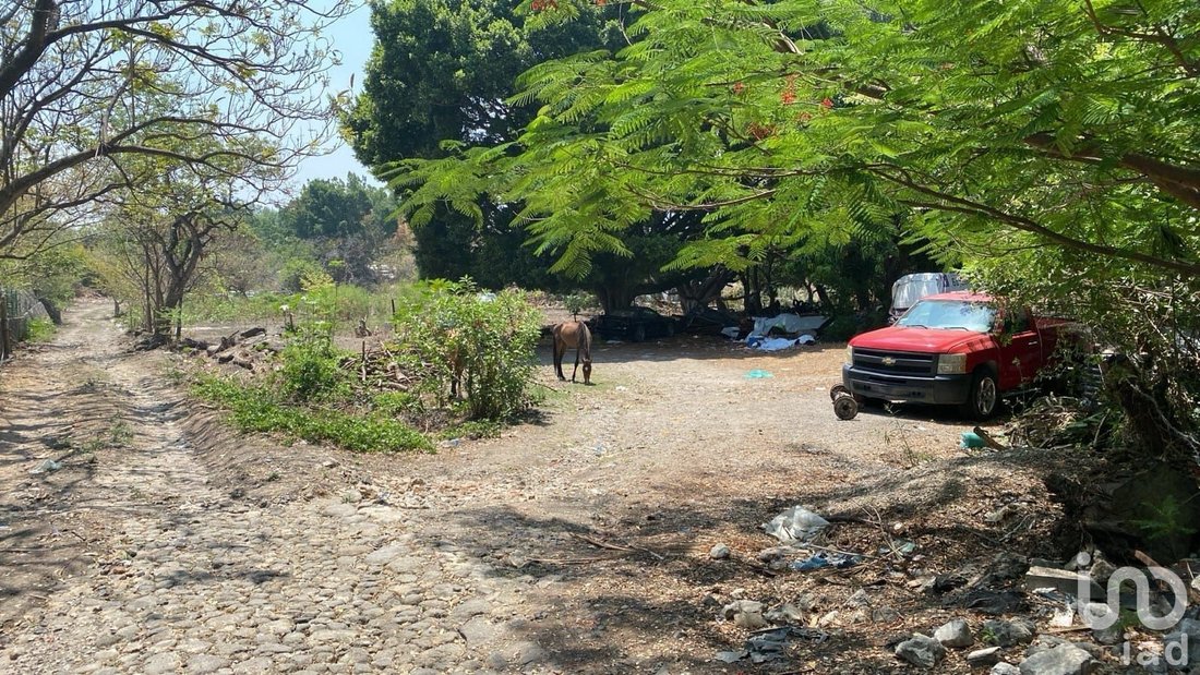 Land in Jiutepec, Morelos, Mexico 3 - 15803914