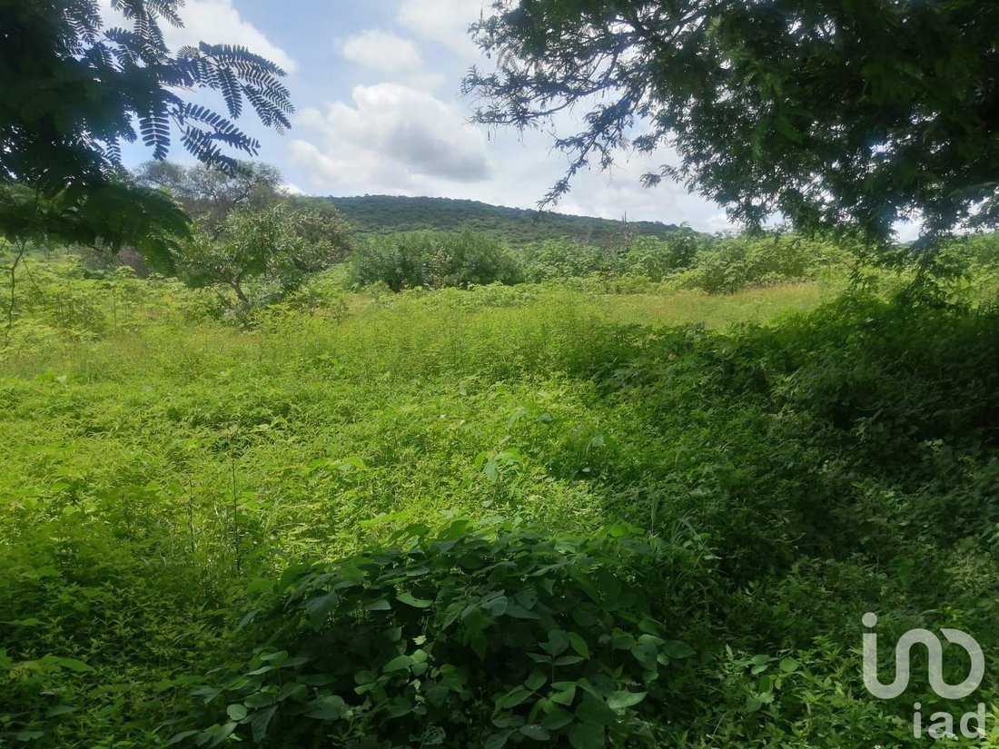 Land in Alpuyeca, Morelos, Mexico 1 - 15804709
