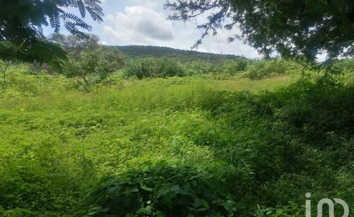 Land in Alpuyeca, Morelos, Mexico 1